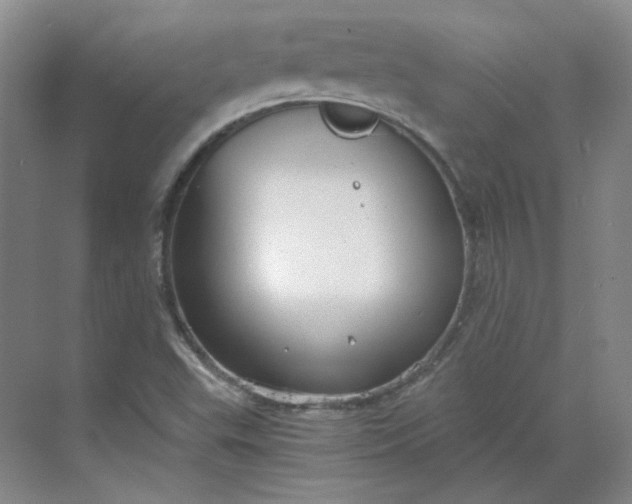 X0000068811503200605191753