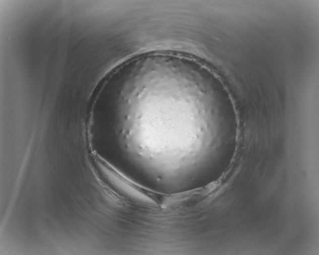 X0000068811505200605191753