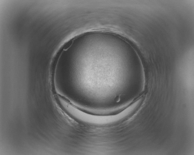 X0000068811506200605191753