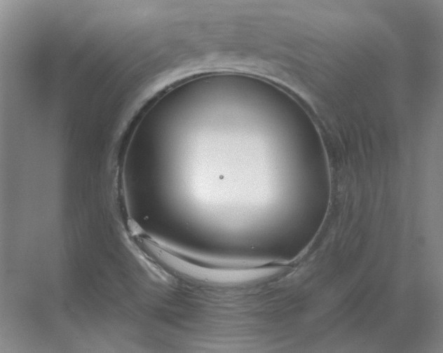 X0000068811507200605191753