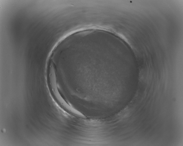 X0000068811508200605191753