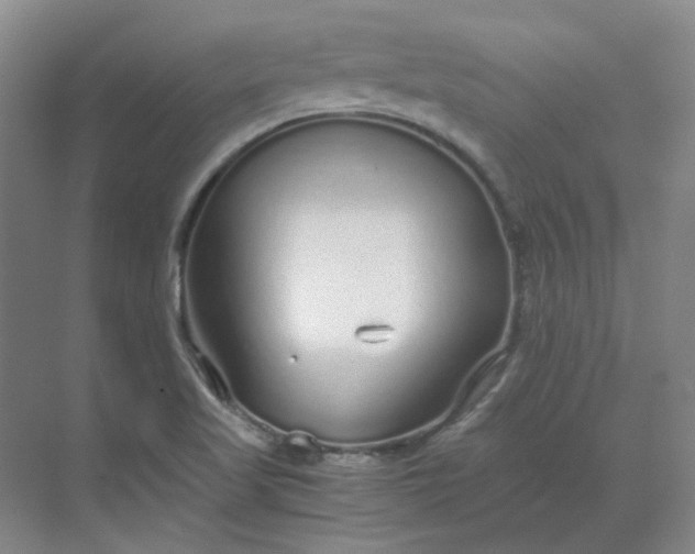 X0000068811509200605191753