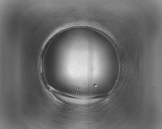 X0000068811510200605191753