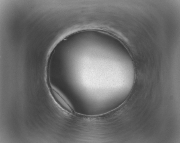 X0000068811512200605191754