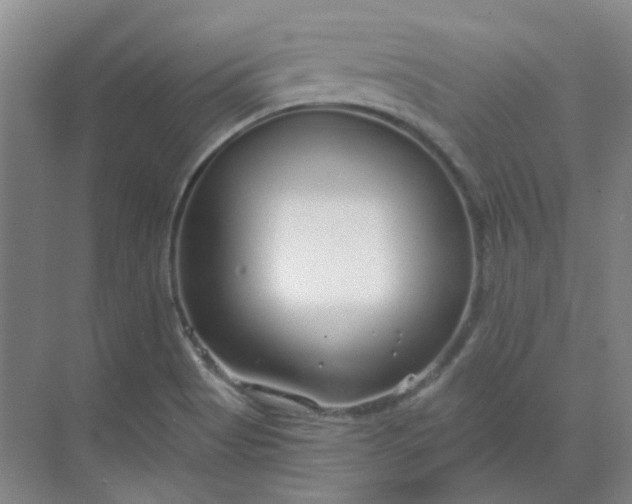 X0000068811513200605191754