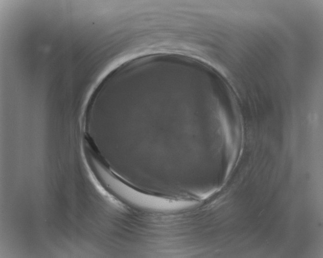 X0000068811515200605191754