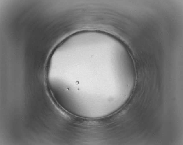 X0000068811517200605191754