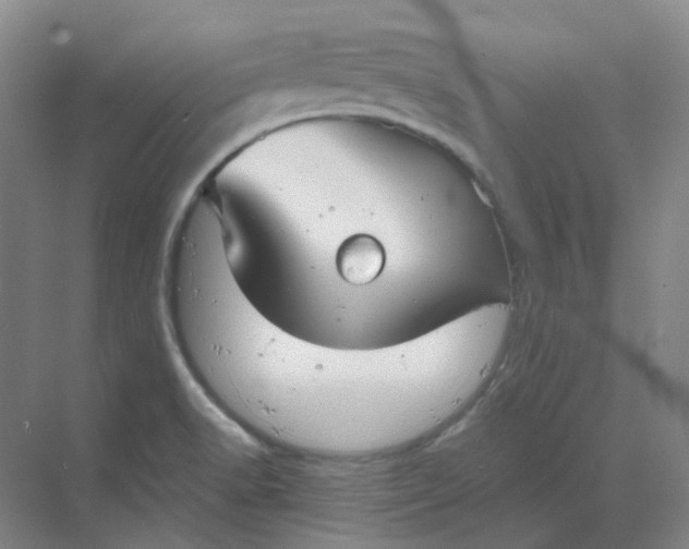 X0000068811518200605191754