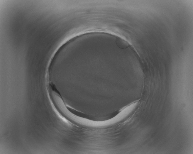 X0000068811519200605191754