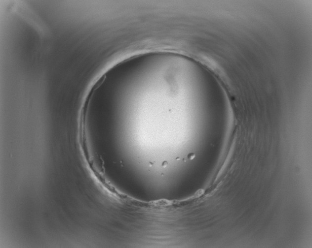 X0000068811520200605191754