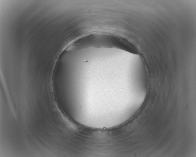 X0000068811521200605191754