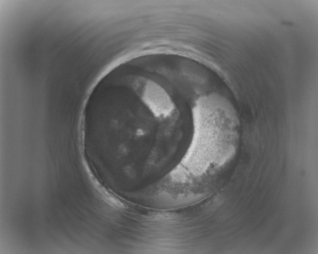 X0000068811522200605191754