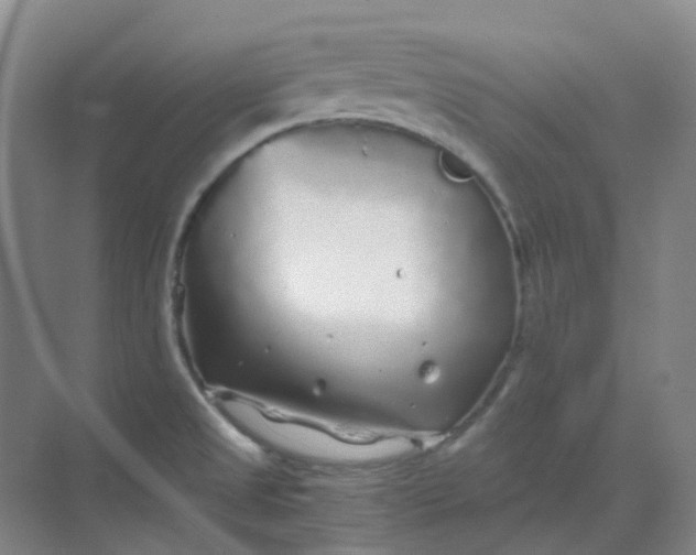 X0000068811525200605191754