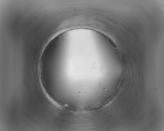 X0000068811526200605191754