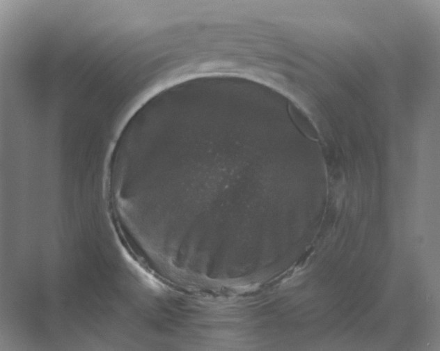 X0000068811527200605191754