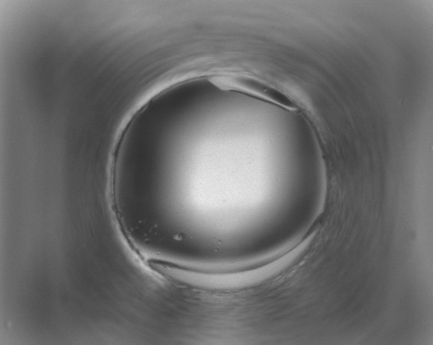 X0000068811528200605191754