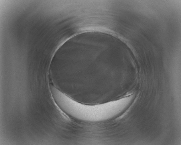 X0000068811529200605191754