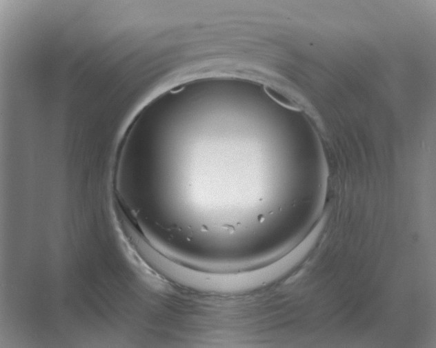 X0000068811530200605191754