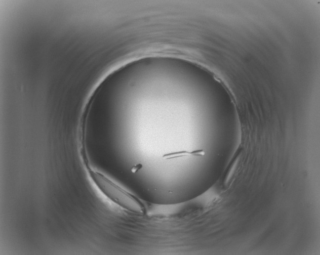 X0000068811531200605191754