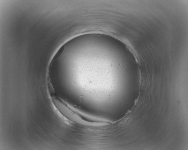 X0000068811532200605191754