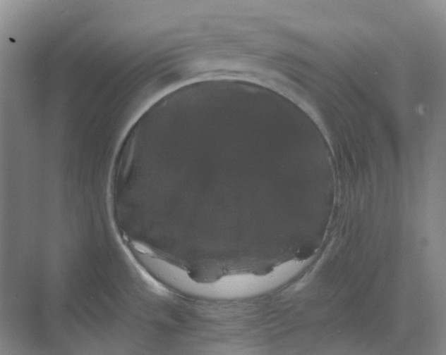 X0000068811533200605191754