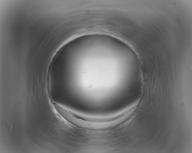 X0000068811534200605191754