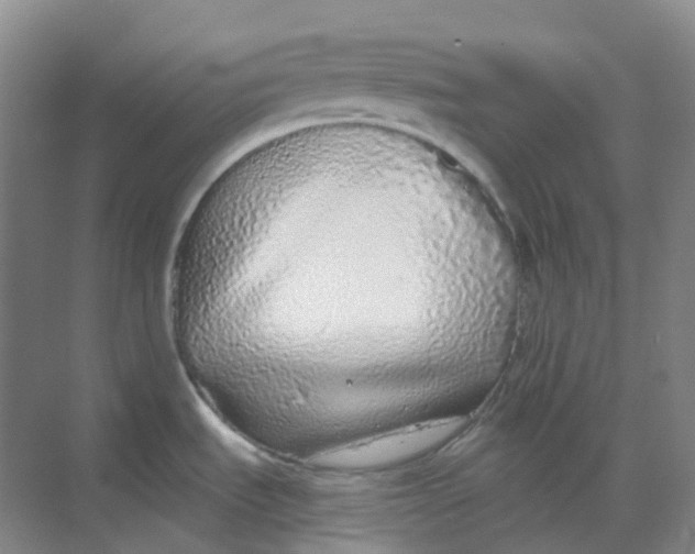 X0000068811535200605191754