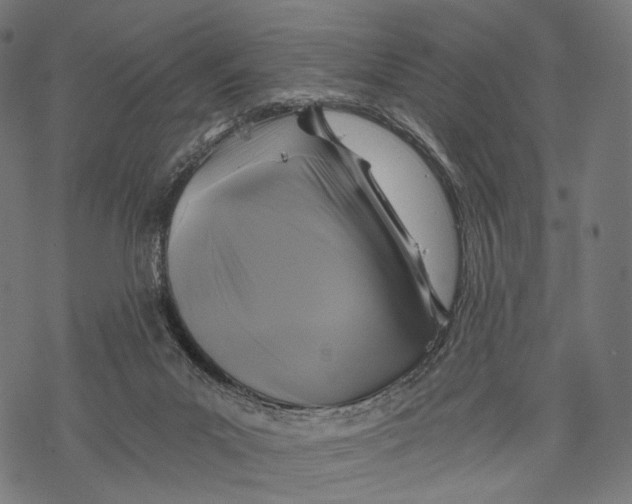 X0000068810023200605261537