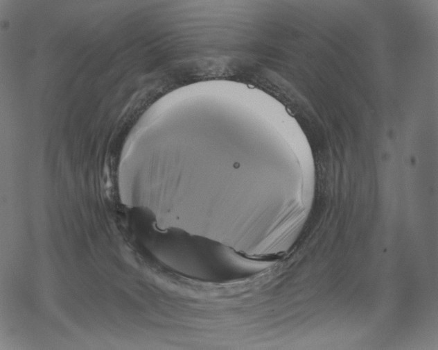 X0000068810035200605261537