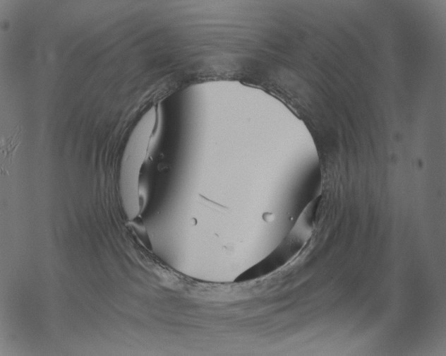 X0000068810045200605261536