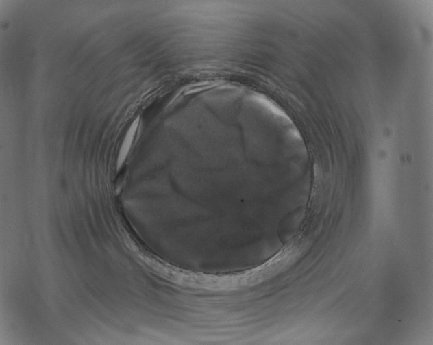 X0000068810048200605261536