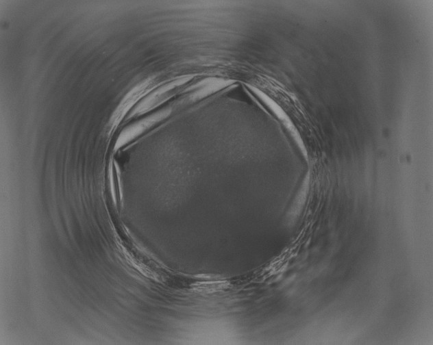 X0000068810051200605261536