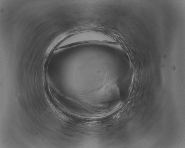 X0000068810054200605261536
