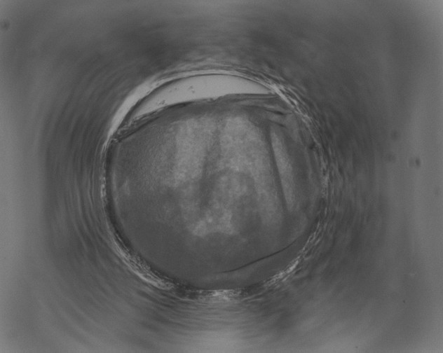 X0000068810056200605261536