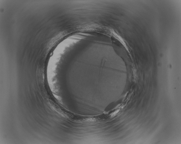 X0000068810059200605261536