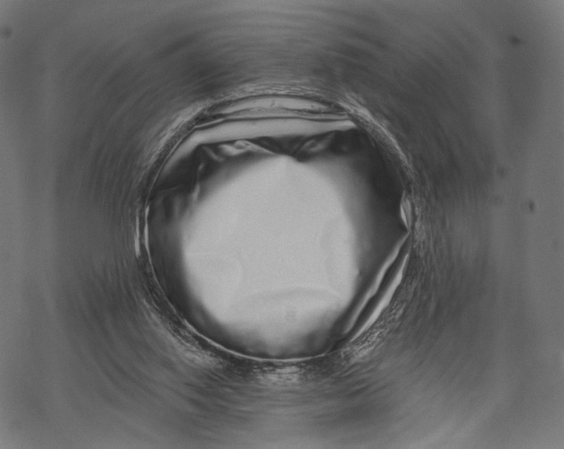 X0000068810062200605261536