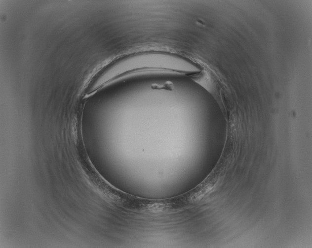 X0000068810064200605261536