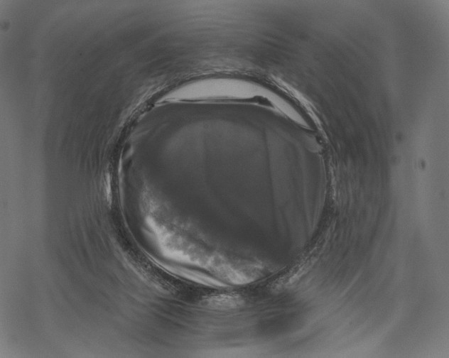 X0000068810067200605261536
