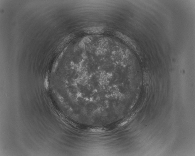X0000068810069200605261536