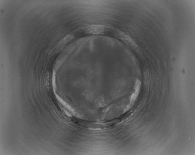 X0000068810073200605261536