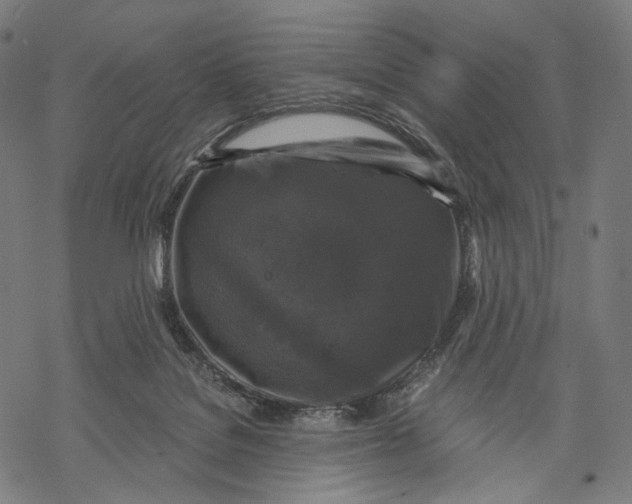 X0000068810076200605261536