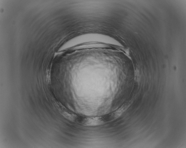 X0000068810093200605261536