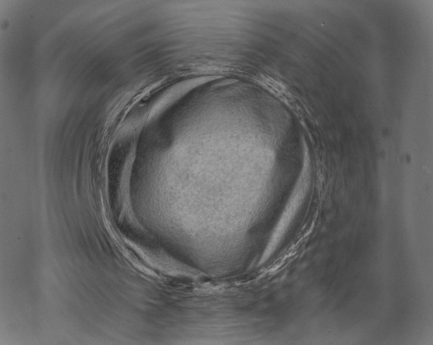 X0000068810097200605261536