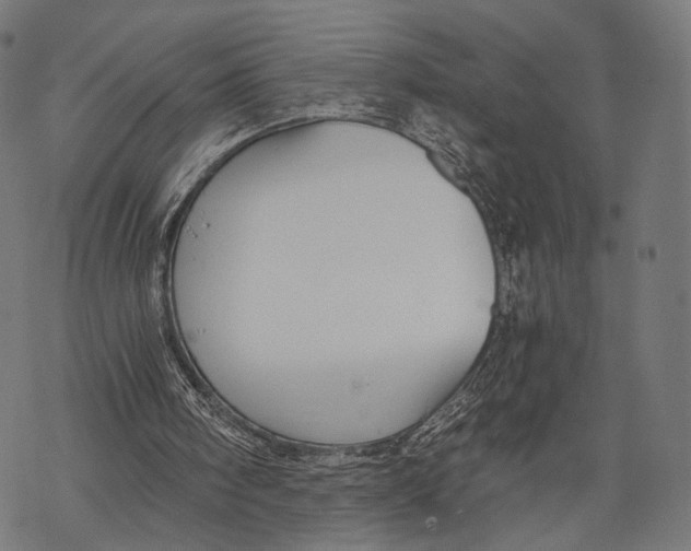 X0000068810098200605261535