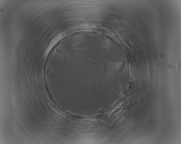 X0000068810099200605261535