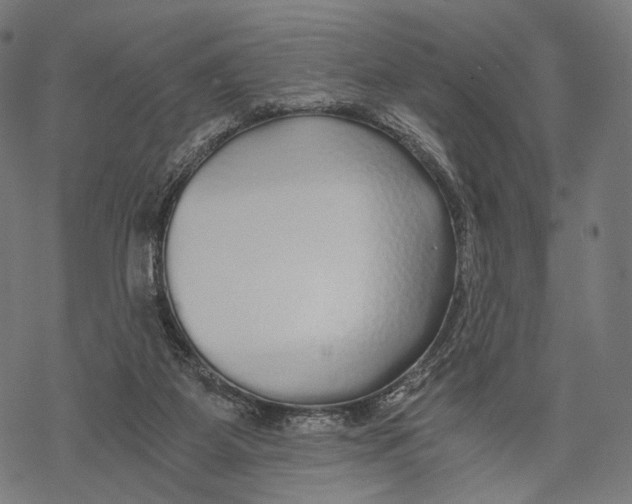 X0000068810115200605261535