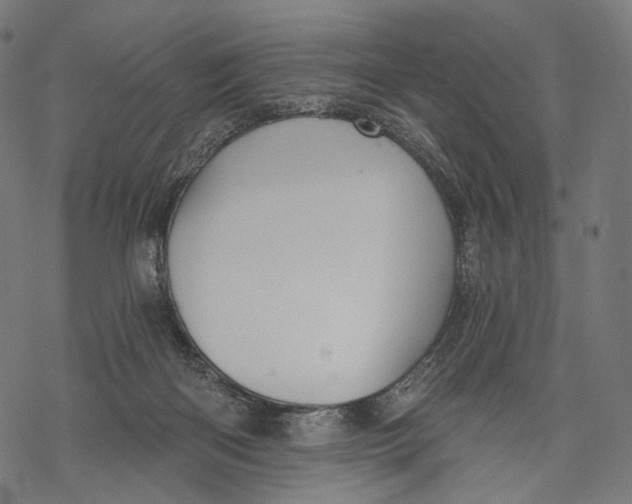 X0000068810122200605261535