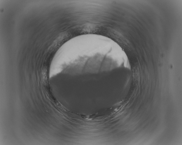 X0000068810127200605261535