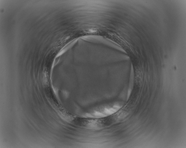 X0000068810130200605261535