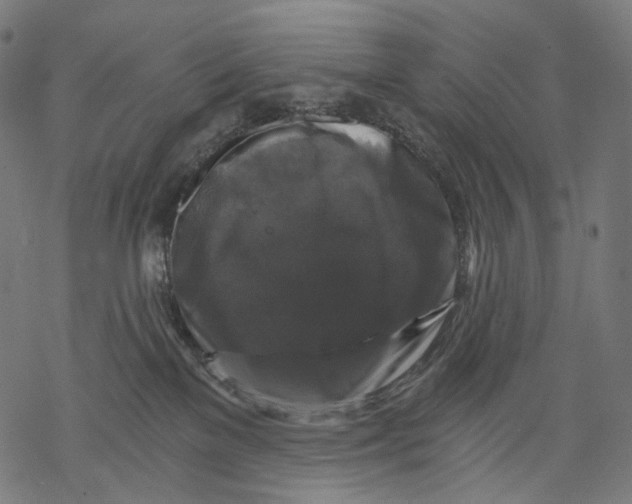 X0000068810137200605261535